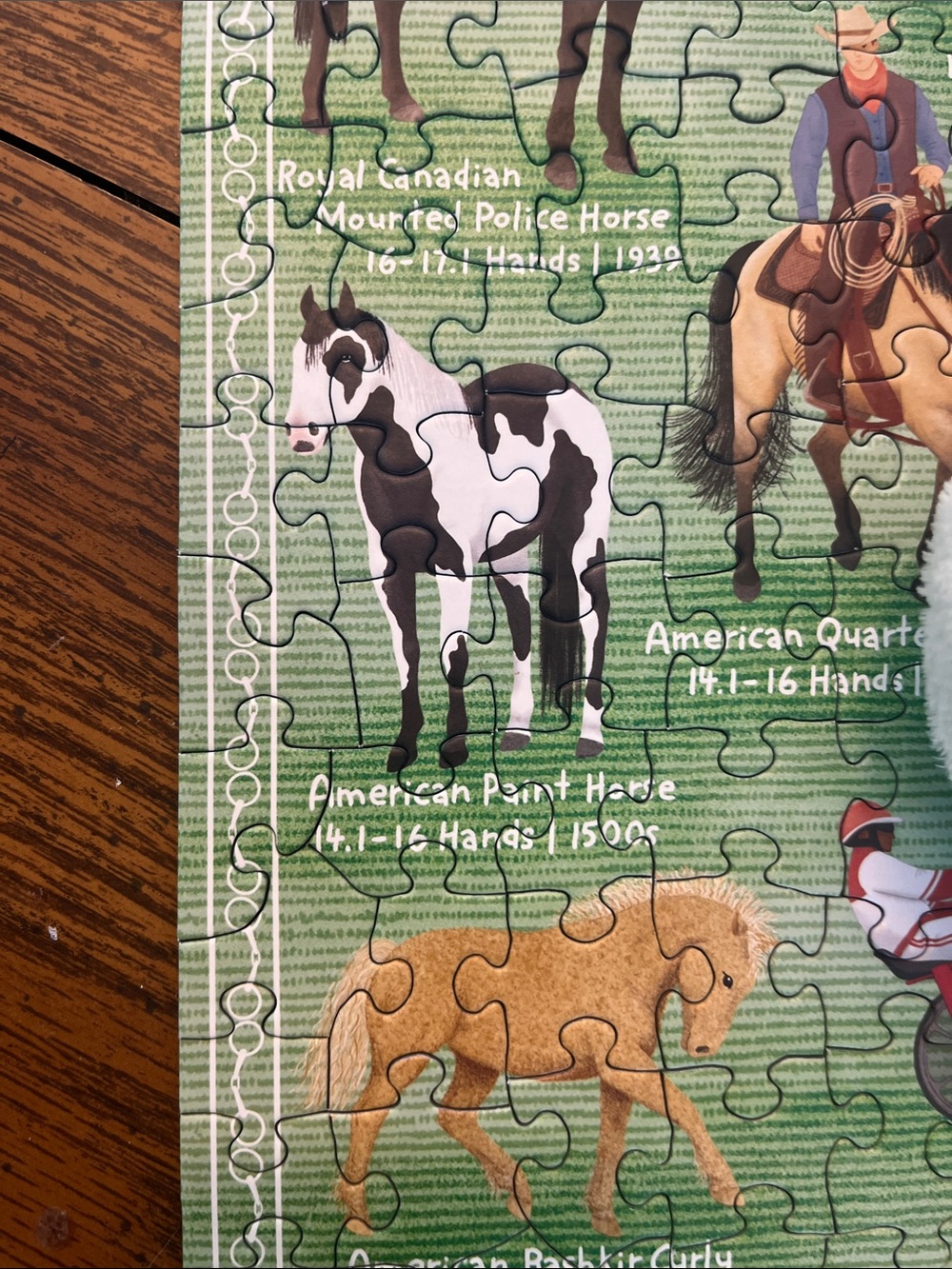 Horse Play 500-Piece Jigsaw Puzzle - Green - Picture 10 of 15